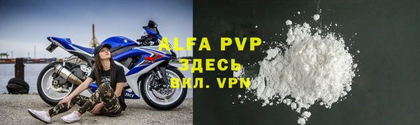 сатива Балахна