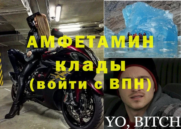 шишки Армянск