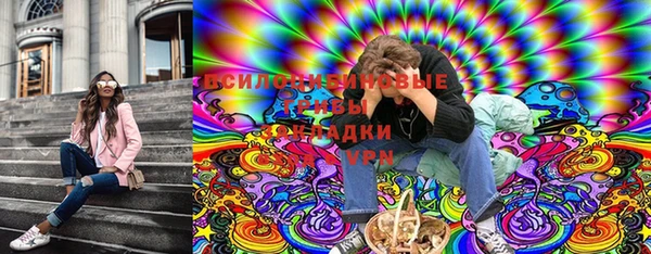 стаф Арсеньев