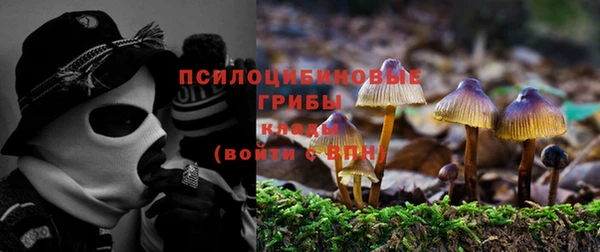 шишки Армянск