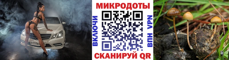 МЕГА ссылка  наркотики  Павловский Посад  Галлюциногенные грибы ЛСД 